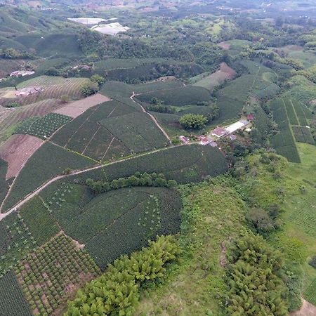 ChinchináHacienda Cafetera La Gaviota别墅 外观 照片