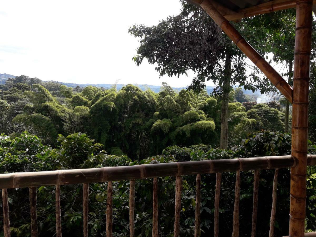 ChinchináHacienda Cafetera La Gaviota别墅 外观 照片