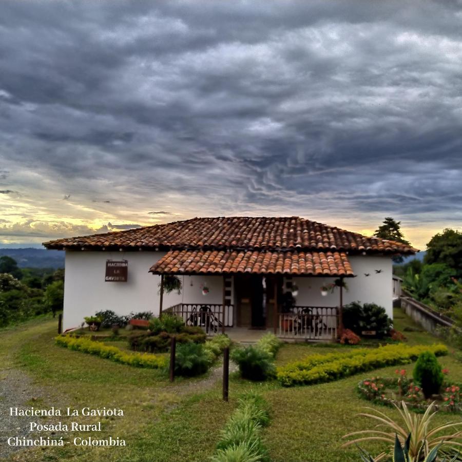 ChinchináHacienda Cafetera La Gaviota别墅 外观 照片